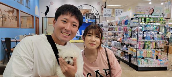 写真