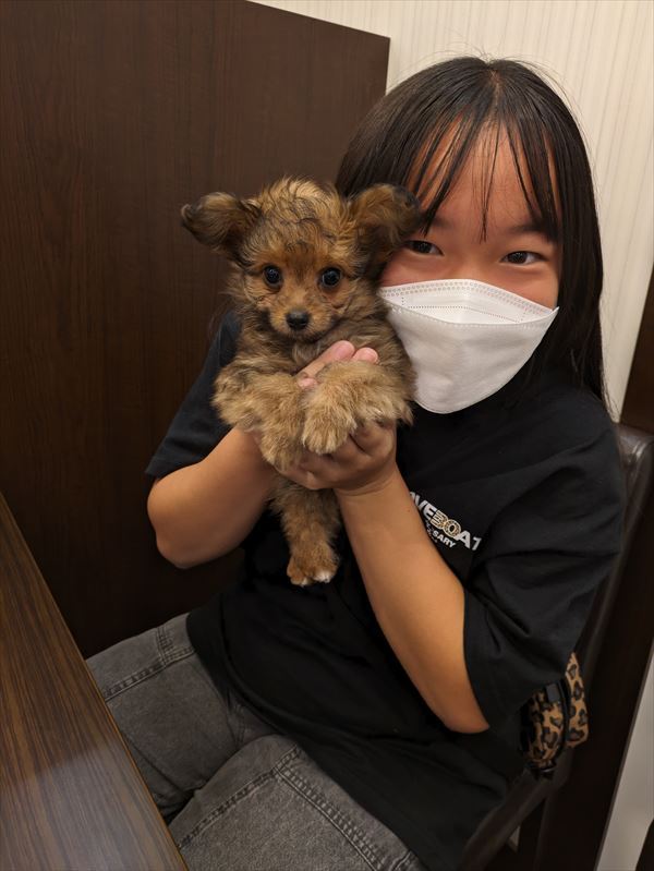 写真