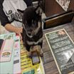 写真