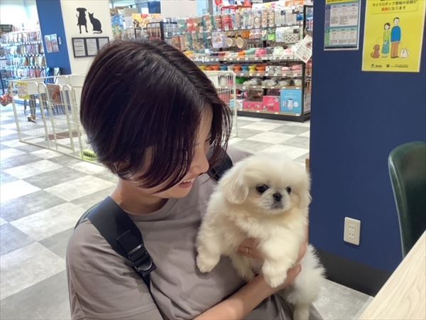 写真