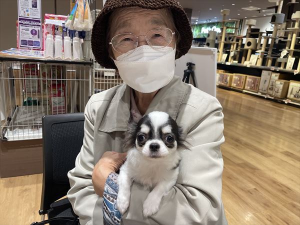 写真