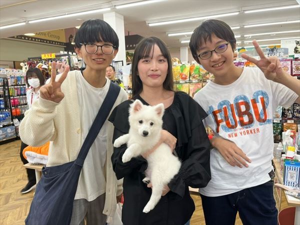写真