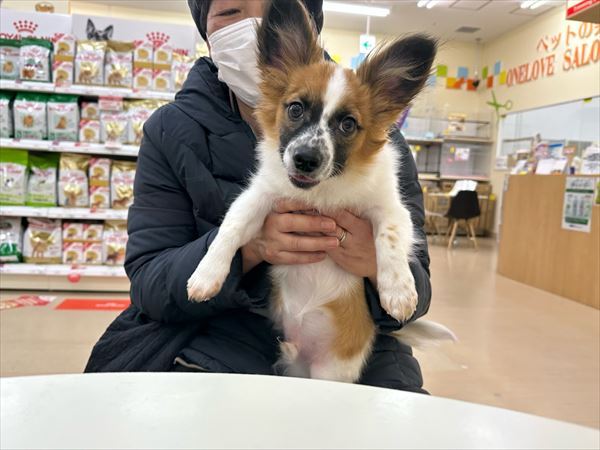 写真
