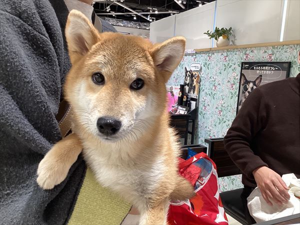 写真