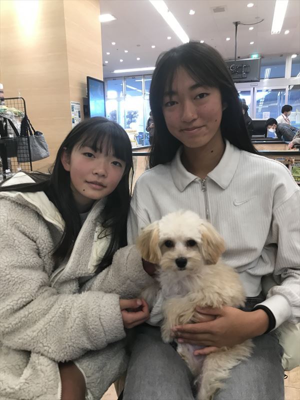 写真
