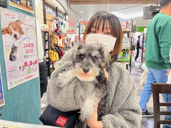 写真