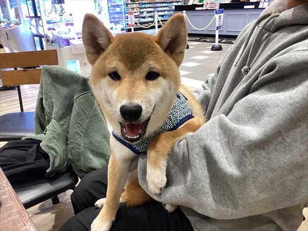 写真