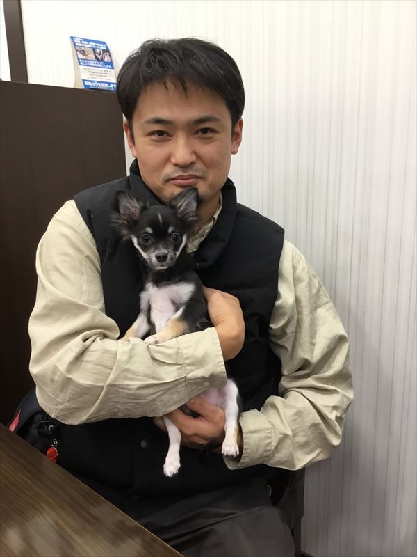 写真