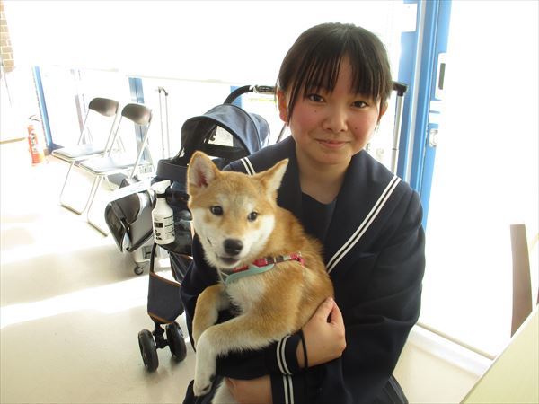写真