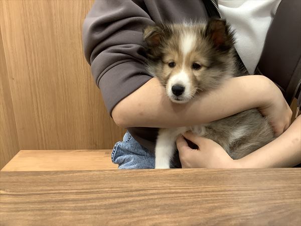 写真