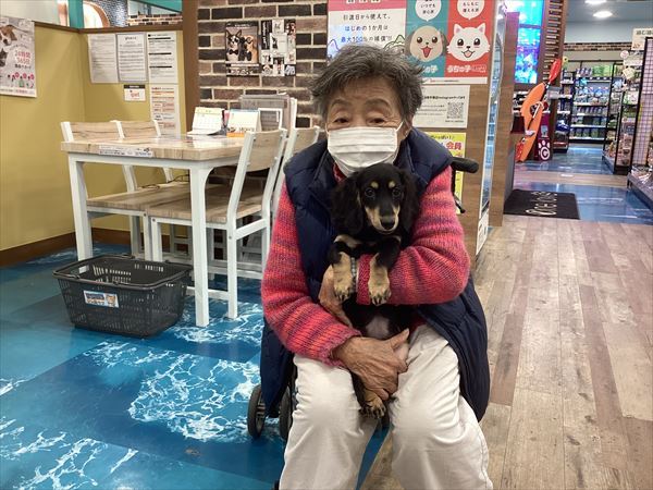 写真
