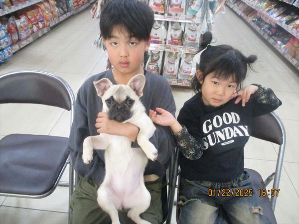 写真