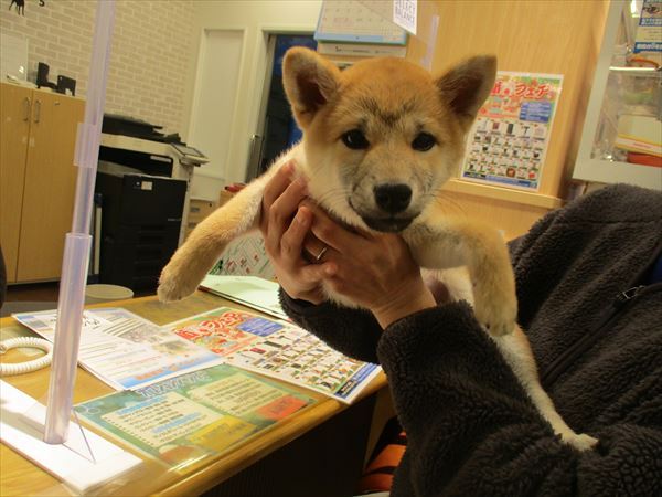 写真