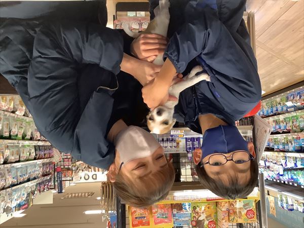 写真