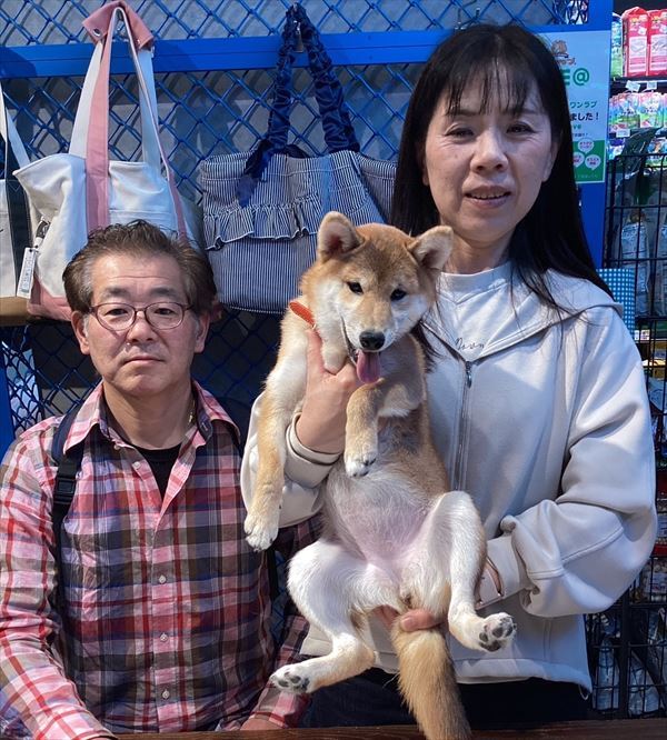 写真