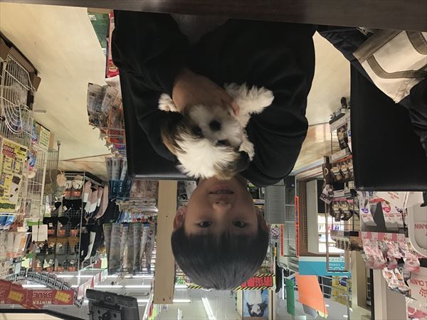 写真