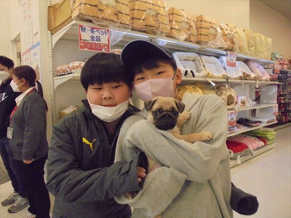 写真