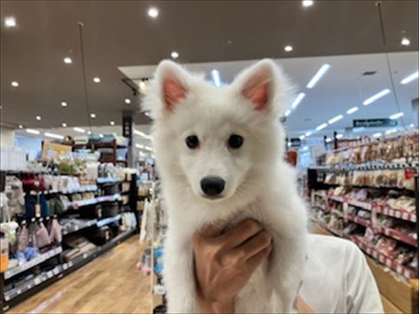 写真