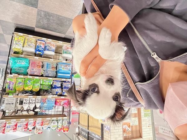 写真