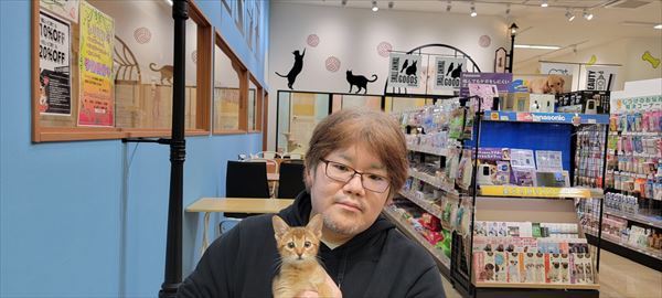 写真