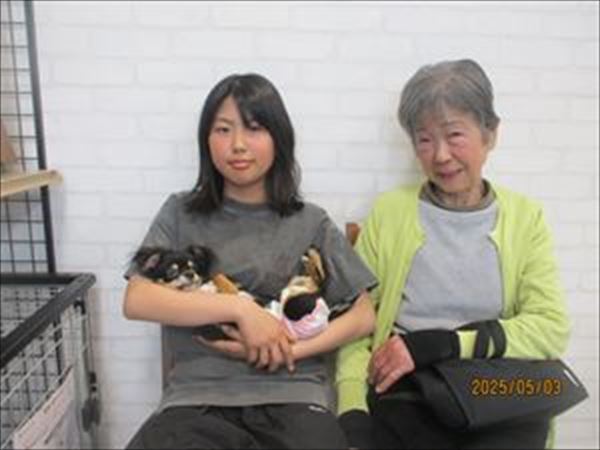 写真