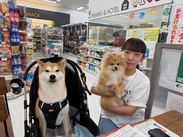 写真