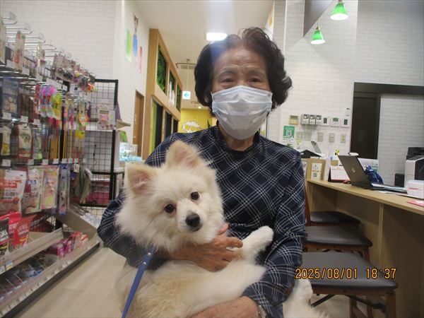 写真