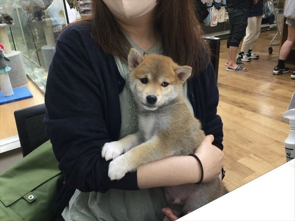 写真