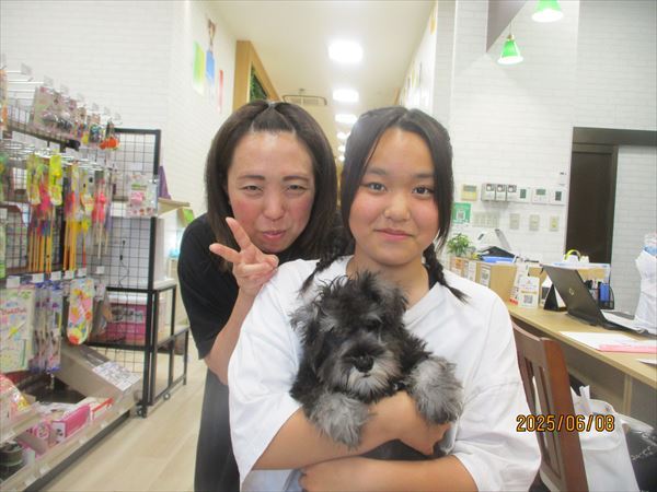 写真
