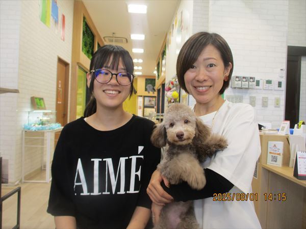 写真