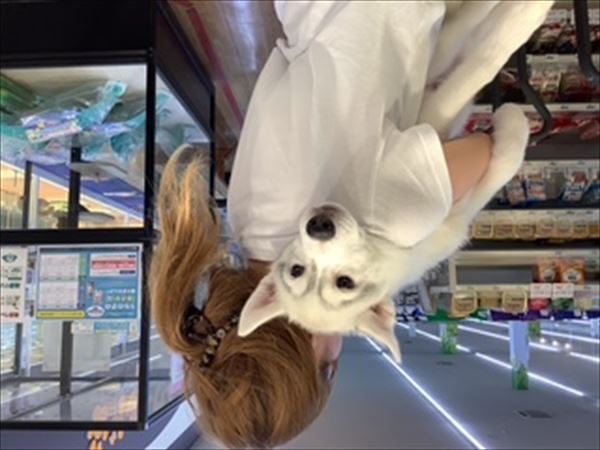 写真
