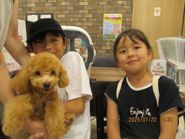 写真