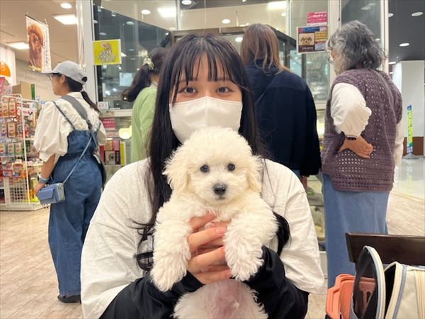 写真