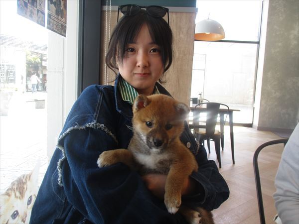 写真