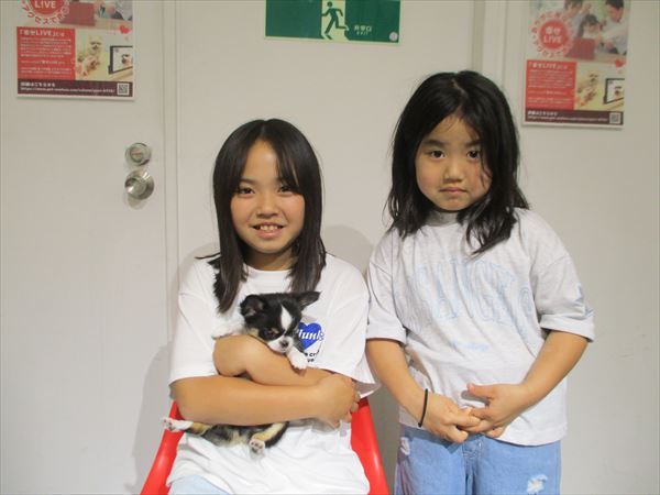 写真