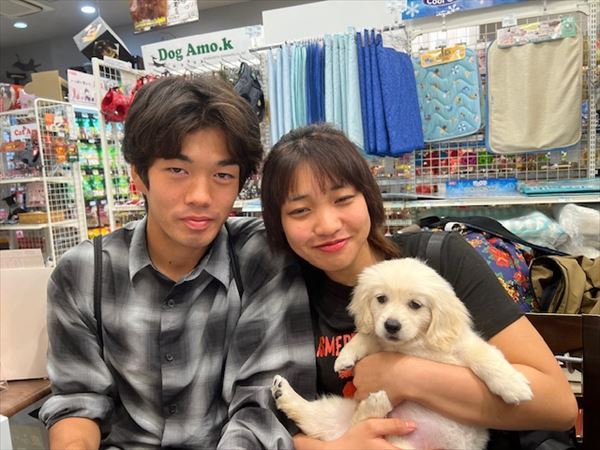 写真