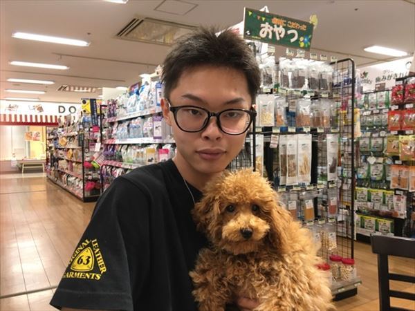写真