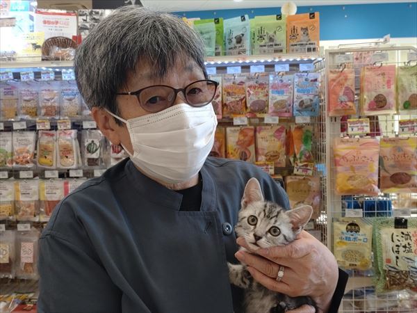 写真
