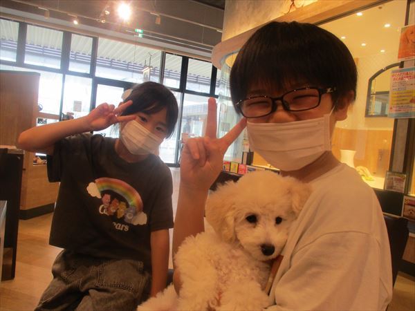 写真