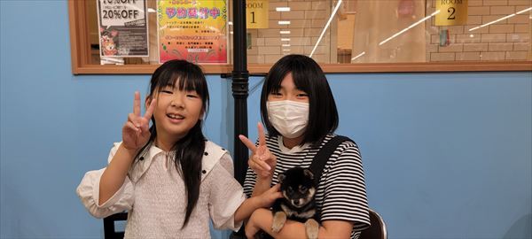 写真