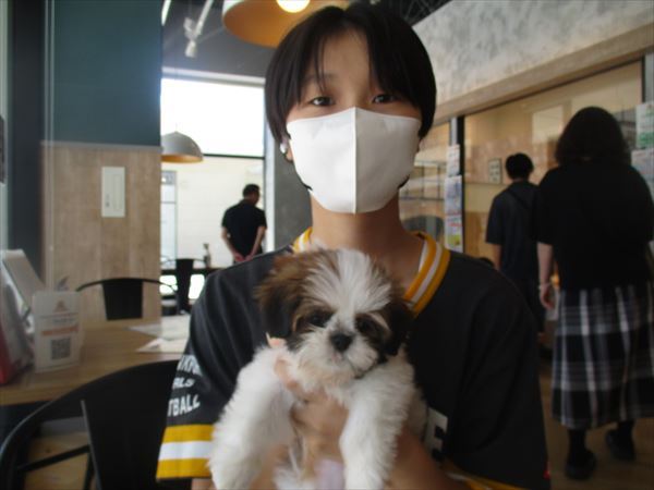 写真