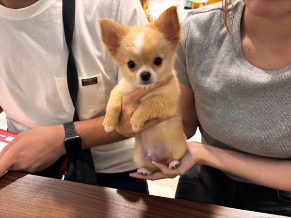 写真