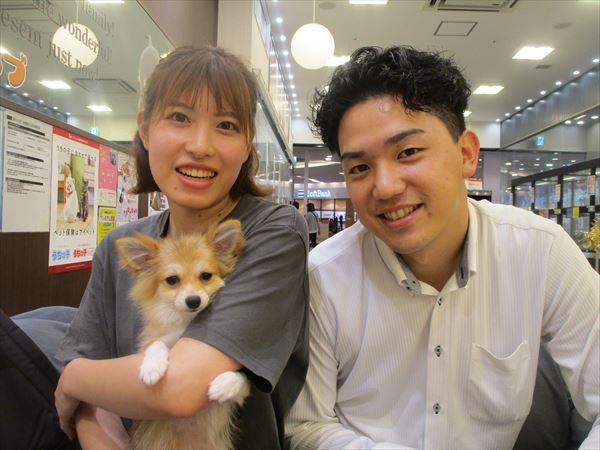 写真