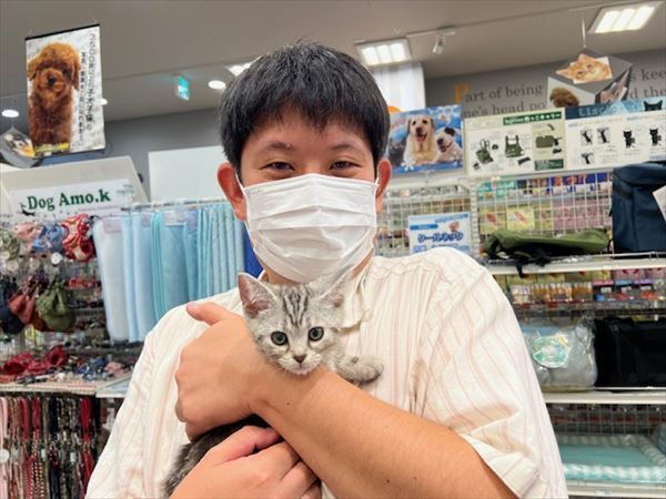 写真