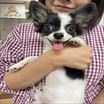 写真