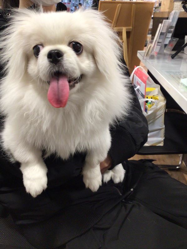 写真