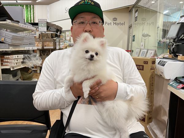写真