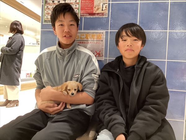 写真