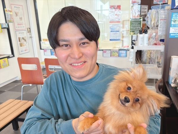 写真