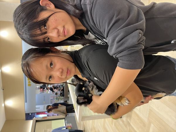 写真